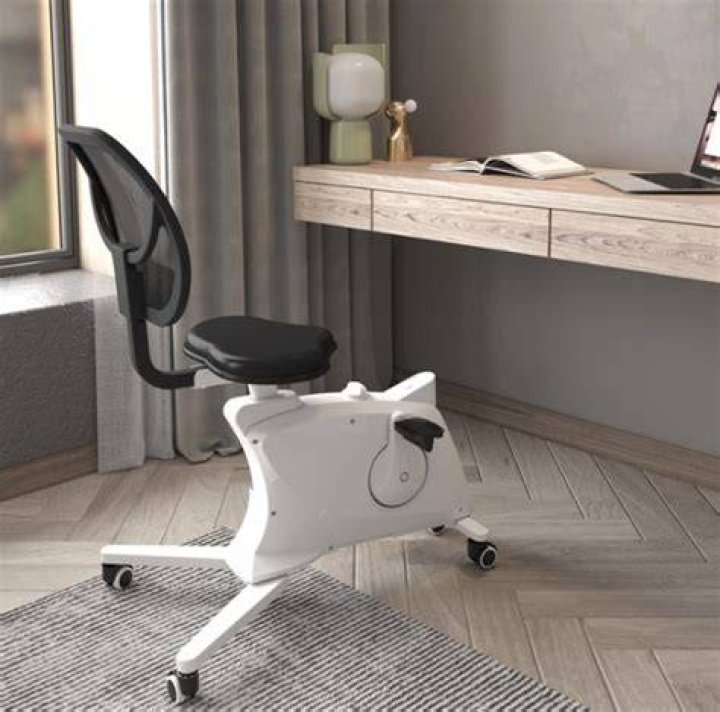 Flexispot Sit2Go 2 in 1 Fitness Chair Widget Image