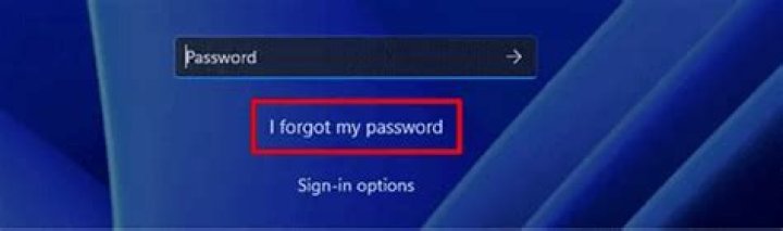 reset your Password forgot my password