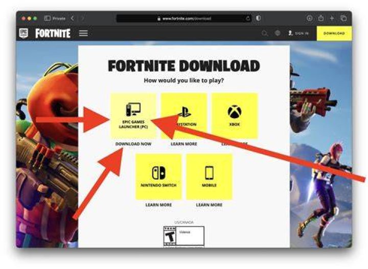 Fornite Chromebook apk downloaded Fornite Chromebook apk downloaded