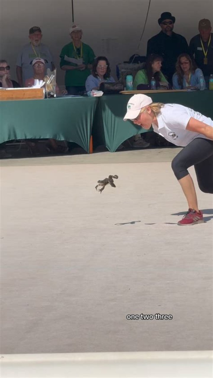 frog-jumps