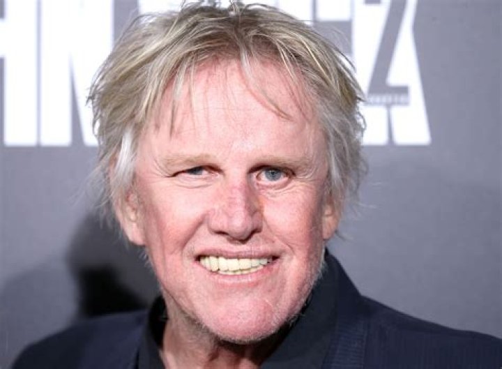 Gary Busey arrives at the Los Angeles premiere of Summit Entertainment's "John Wick: Chapter Two" held at ArcLight Hollywood. Gary Busey arrives at the Los Angeles premiere of Summit Entertainment's "John Wick: Chapter Two" held at ArcLight Hollywood.