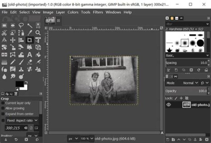 The GIMP software GIMP old photo restoration software for mac