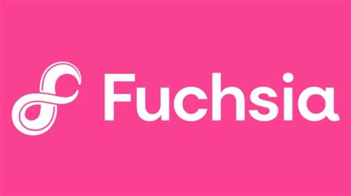 Google Fuchsia logo