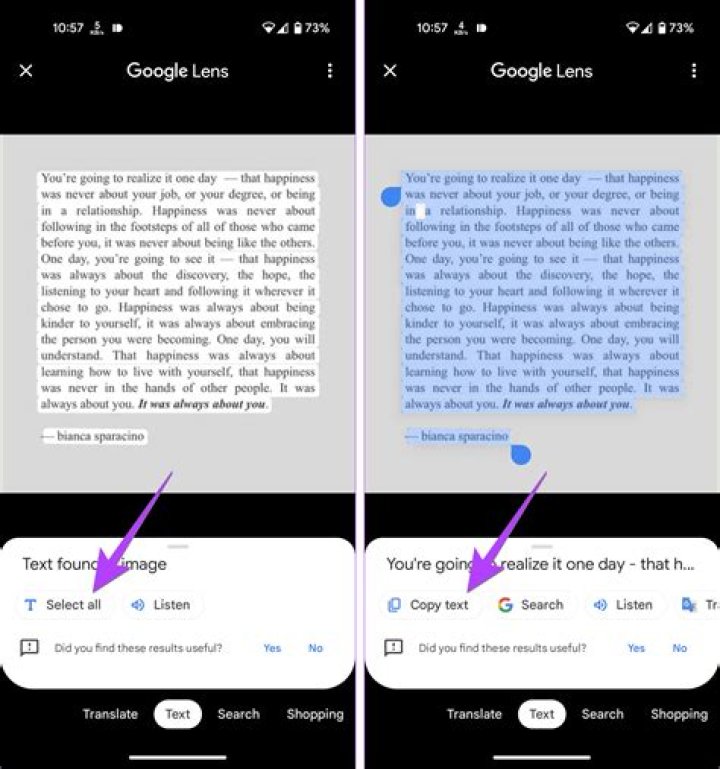 google lens copy paste text pc
