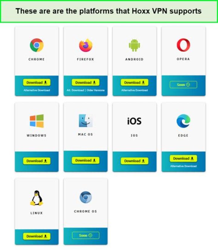 Hoxx VPN grab Hoxx VPN