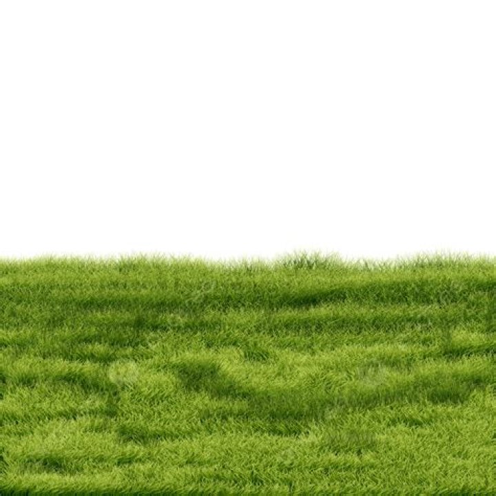 Grass PA.png