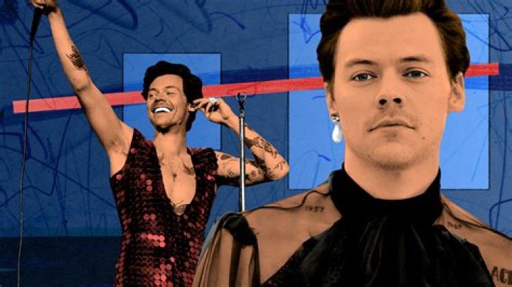 Harry Styles is gay