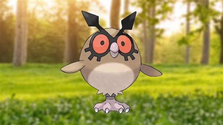 Hoothoot