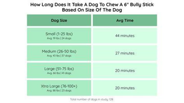 How Long Do Bully Sticks Last
