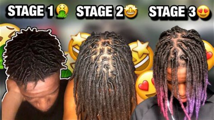 How Long Do Dreads Last