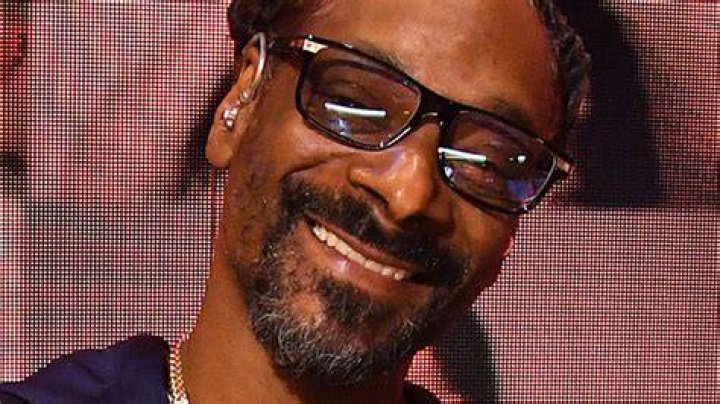How Many Times Has Snoop Dogg Been Arrested?