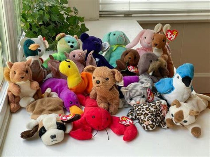 How To Authenticate Beanie Babies