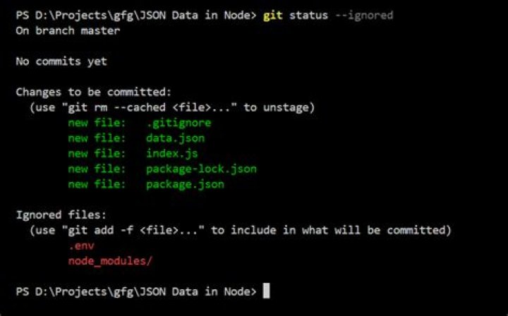 How To Create Gitignore File Using Git Bash