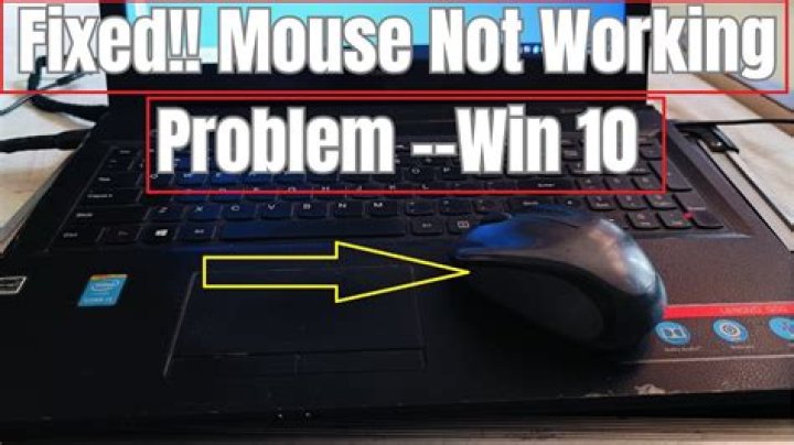 How to fix mouse issues with ease