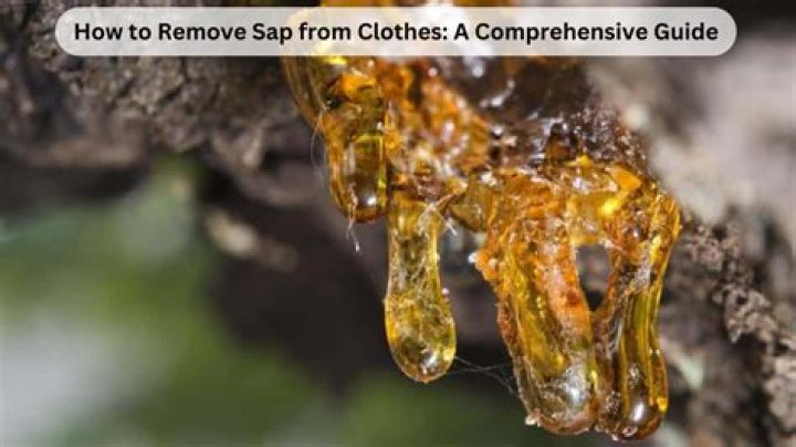 How To Remove Sap From Clothes