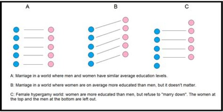 Hypergamy and Evolutionary Basis. &ldquo;Hypergamy is not just a social&hellip; by &Ccedil;ağatay Kılın&ccedil; Medium