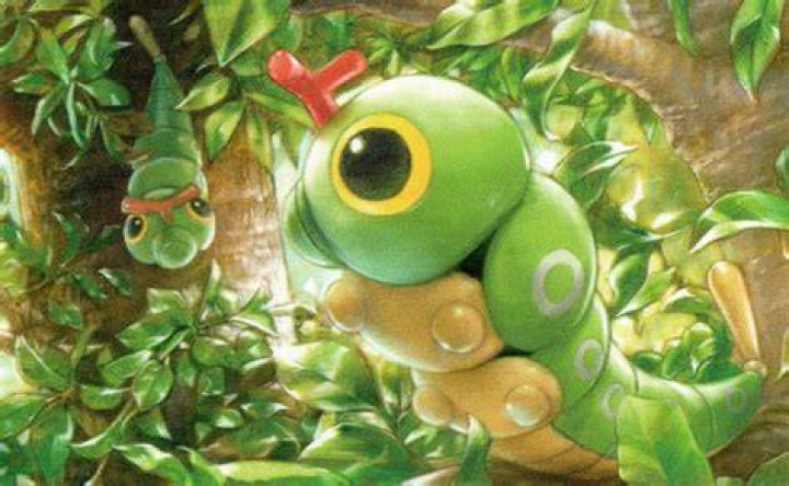 Image of Caterpie