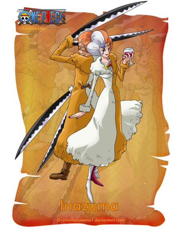 Inazuma: One Piece character profile