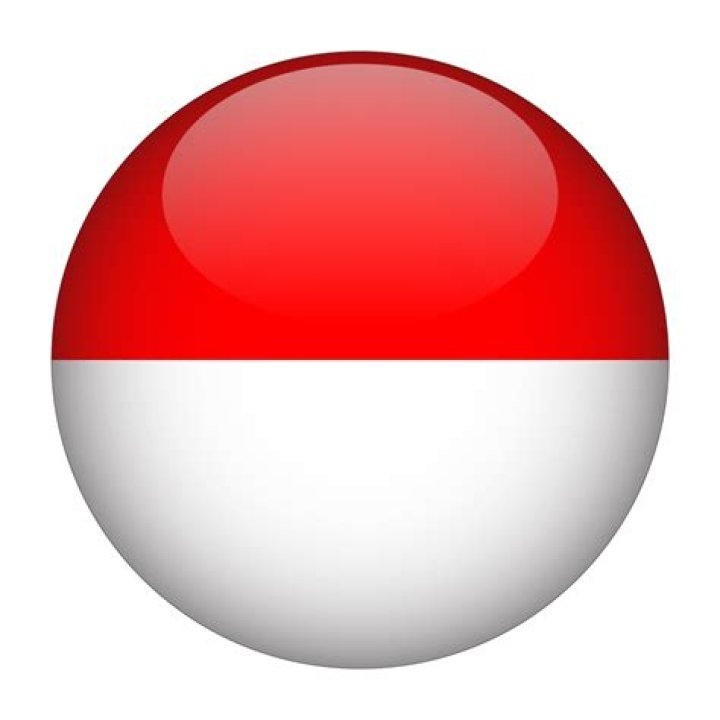 Indonesia Flag.png