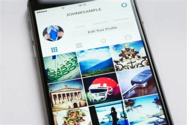 Investigating Suspicious Instagram Profiles Investigating Suspicious Instagram Profiles