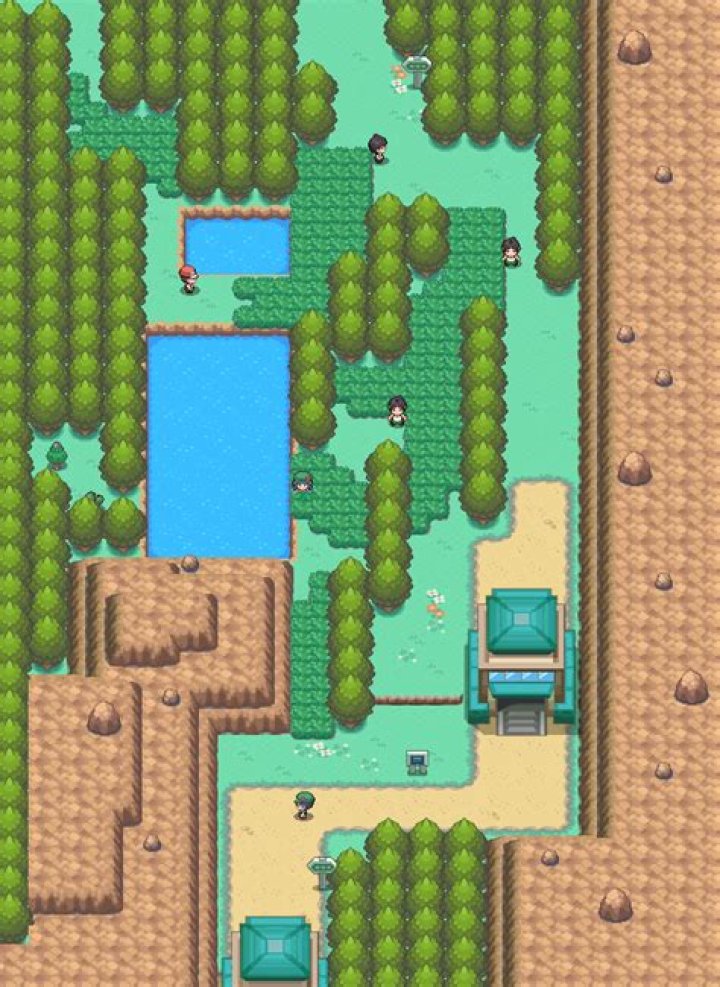 Johto Route 43
