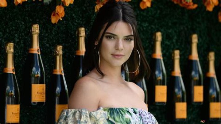 Kendall Jenner posing in front of a bar.