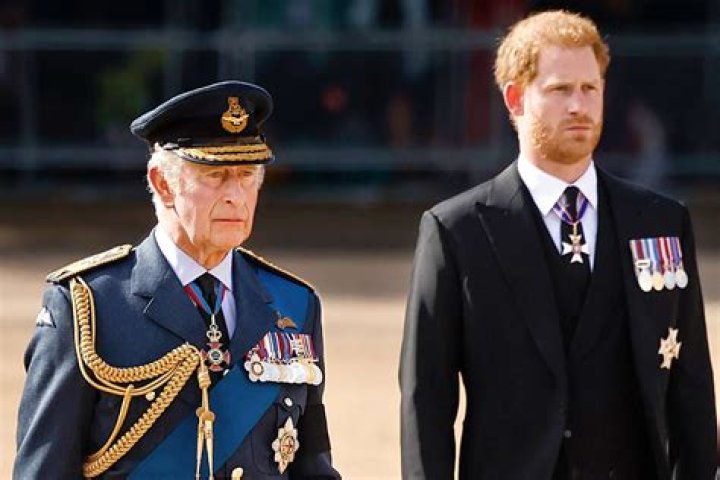 King Charles, a white man with white hair and wearing a brown coat and red tie, looking at the camera. The background is a field.
