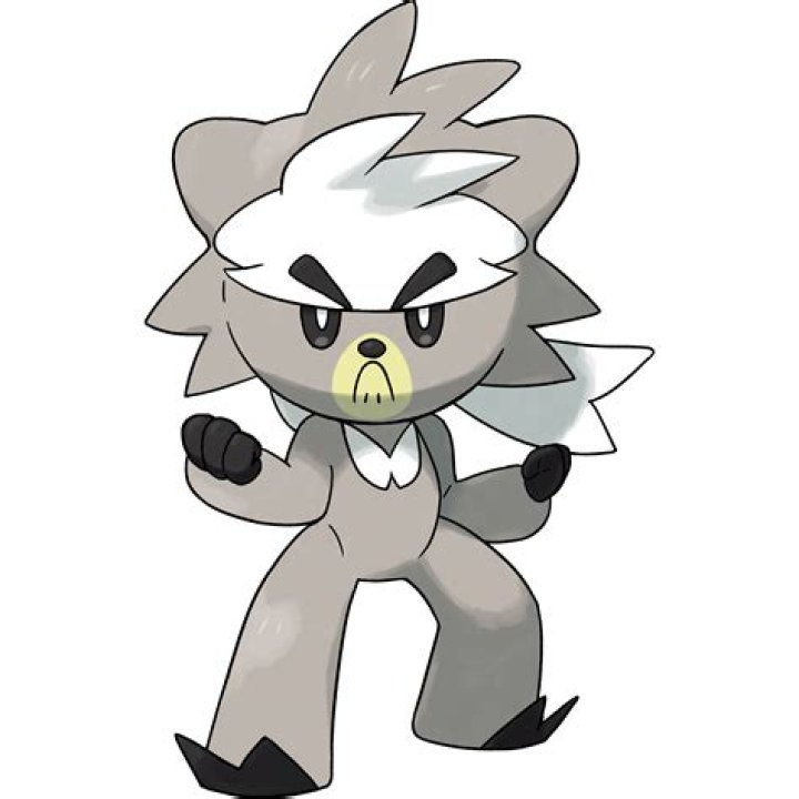 Kubfu