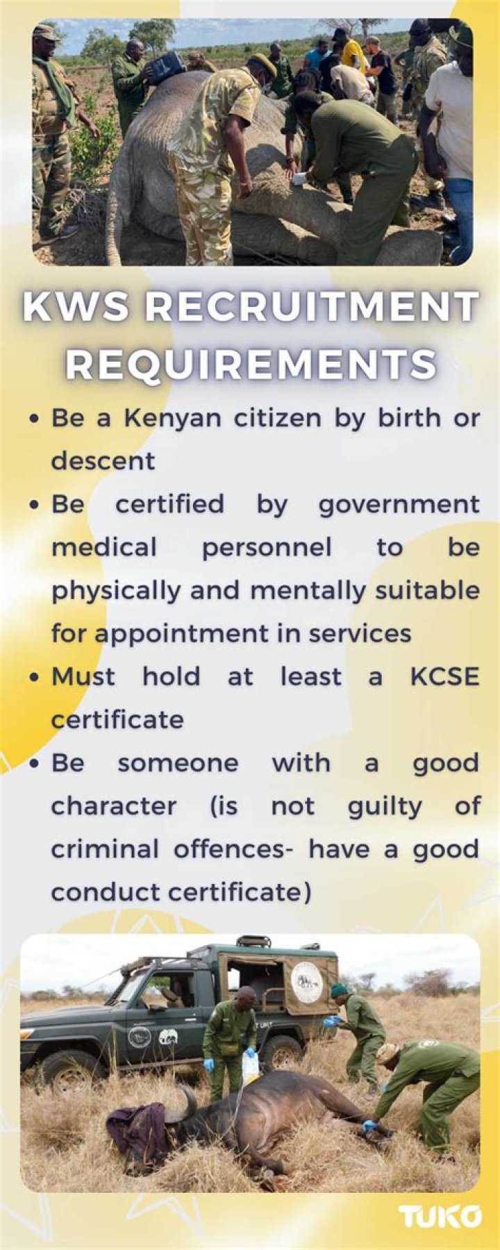 KWS recruitment requirements KWS recruitment requirements