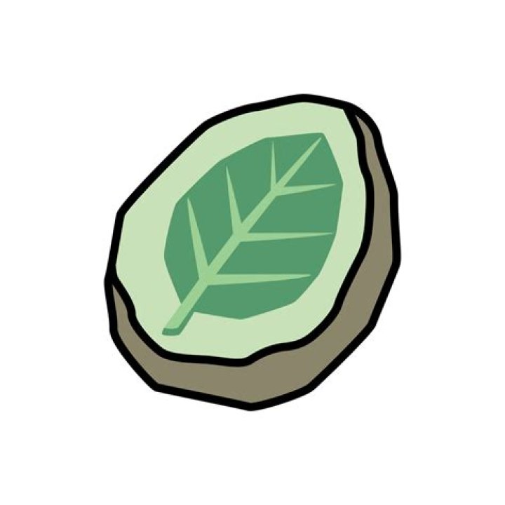 Leaf Stone