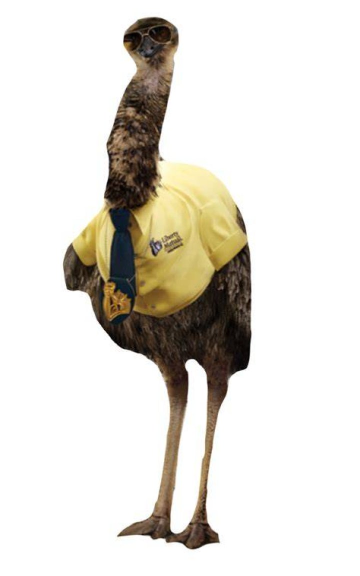 Limu emu? No, just a loose emu in Lenoir