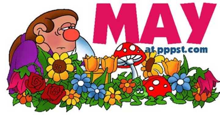May's Beautifly
