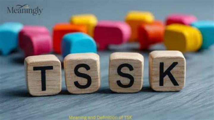 Meaning of TSK by Nas
