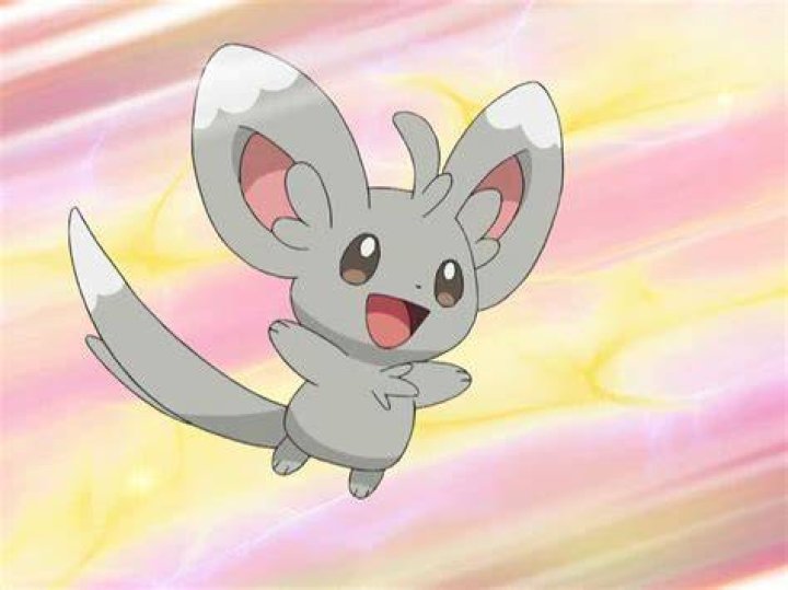 Minccino