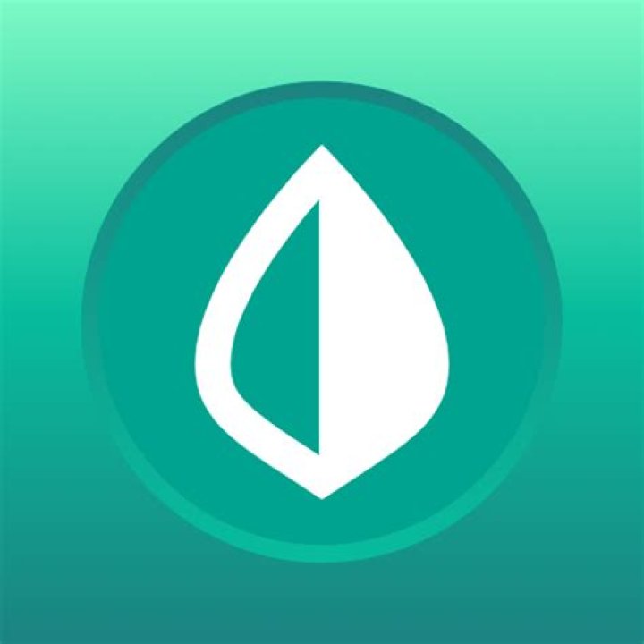 Mint best expense tracker apps for Android