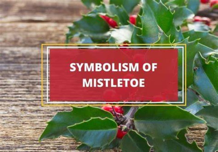Mistletoe Symbolism