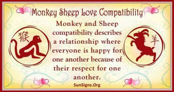 monkey sheep compatibility