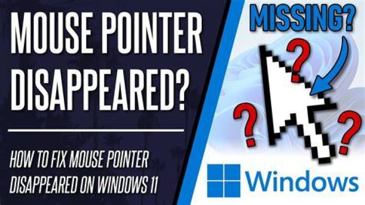 mouse pointer disappeared