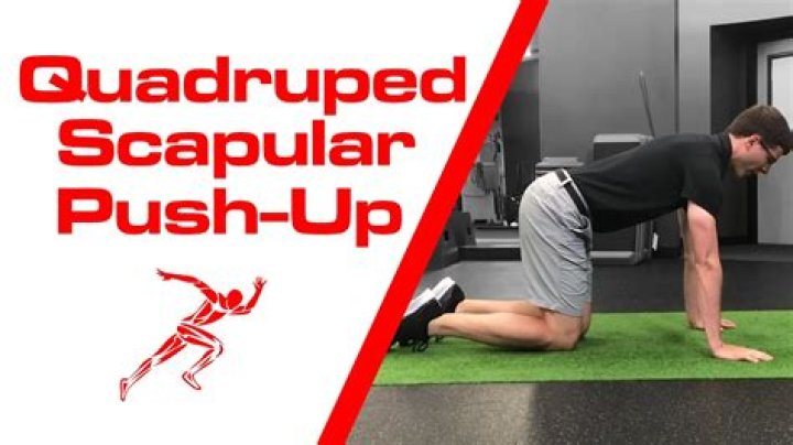MS Quadruped II.png