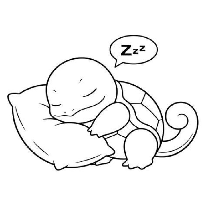 MS Squirtle II.png