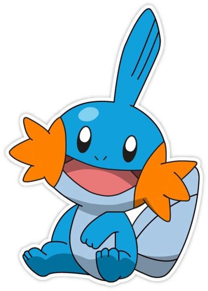 Mudkip GR2-009.png