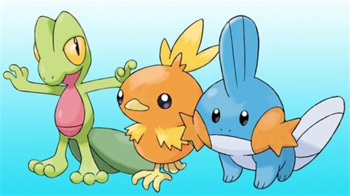 Mudkip, Torchic, and Treecko costumes