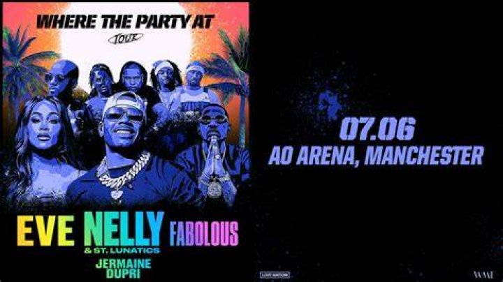 nelly assets nelly assets