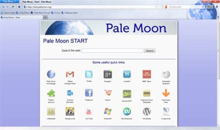 pale moon browser review