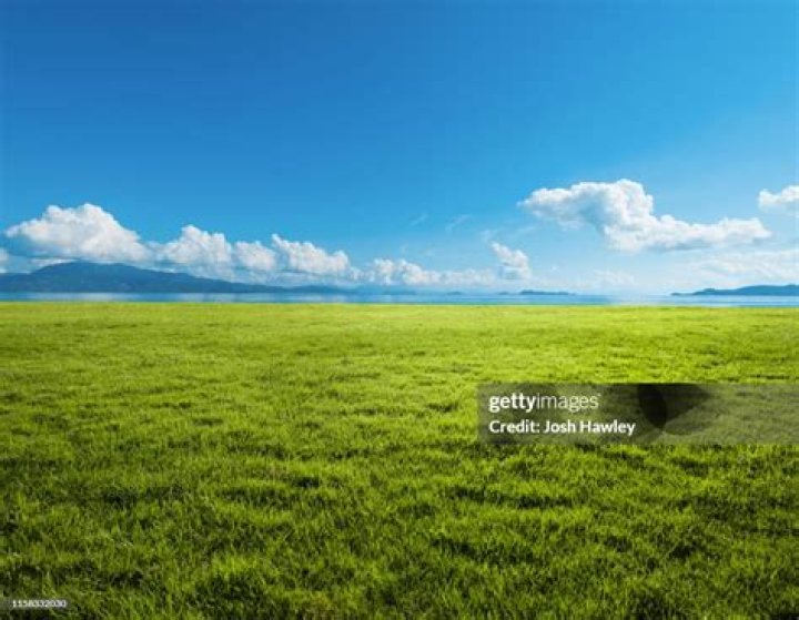 Photo: Getty Images