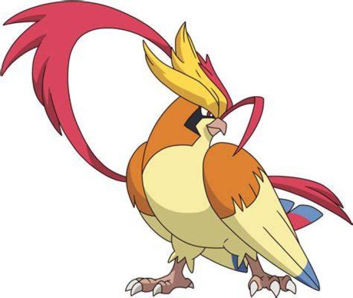 Pidgeot
