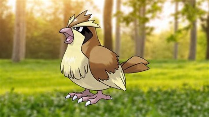 Pidgey
