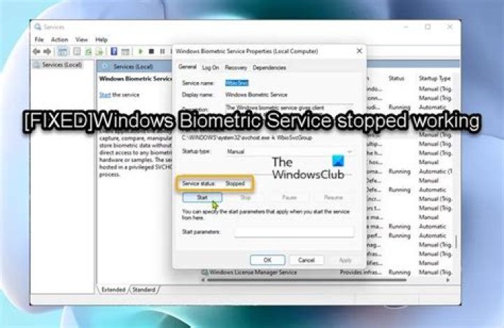 pin windows biometric service stopped working