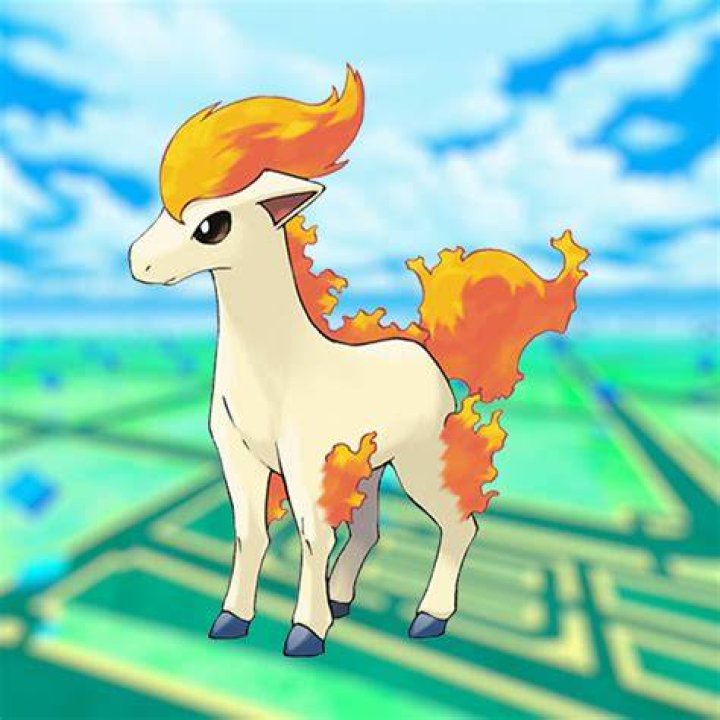 Ponyta