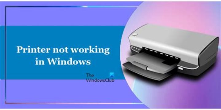 Printer not working on Windows 11? Check out this easy guide